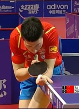 表现给予了 表现给予了